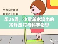 孕25周，少量羊水流出的冷靜應(yīng)對與科學(xué)指導(dǎo)