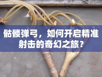 骷髏彈弓，如何開啟精準射擊的奇幻之旅？