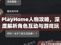 PlayHome人物攻略，深度解析角色互動(dòng)與游戲玩法