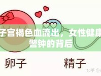 子宮褐色血流出，女性健康警鐘的背后