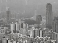 夢想與策略并行的綠茵場之旅，哪款手游能媲美足球經(jīng)理？