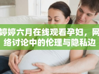 婷婷六月在線觀看孕婦，網(wǎng)絡討論中的倫理與隱私邊界