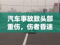 汽車事故致頭部重傷，傷者昏迷流血