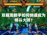 雙截龍新手如何快速成為格斗大師？