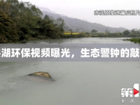 洪湖環(huán)保視頻曝光，生態(tài)警鐘的敲響