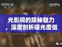 光影間的隱秘魅力，深度剖析曝光度低的獨(dú)特價(jià)值