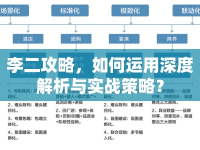 李二攻略，如何運(yùn)用深度解析與實(shí)戰(zhàn)策略？