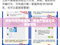 揭秘雞蛋假貨騙局，黑色產(chǎn)業(yè)鏈與消費(fèi)者警醒