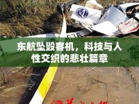東航墜毀客機(jī)，科技與人性交織的悲壯篇章