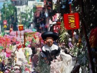 RO手游，如何解鎖萌寵，開啟奇幻之旅？