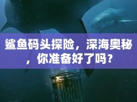 鯊魚碼頭探險，深海奧秘，你準備好了嗎？