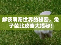 解鎖萌寵世界的秘密，兔子芭比攻略大揭秘！
