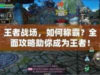 王者戰(zhàn)場，如何稱霸？全面攻略助你成為王者！
