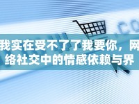 我實在受不了了我要你，網(wǎng)絡(luò)社交中的情感依賴與界限探討