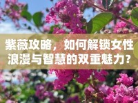 紫薇攻略，如何解鎖女性浪漫與智慧的雙重魅力？