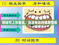 揭秘右上頜竇炎，鼻涕背后的健康警報(bào)