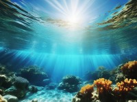 2022年鮑魚最新產(chǎn)地揭秘，你知道哪里最優(yōu)質(zhì)嗎？