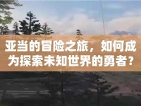 亞當(dāng)?shù)拿半U之旅，如何成為探索未知世界的勇者？