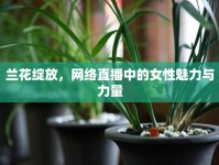 蘭花綻放，網(wǎng)絡(luò)直播中的女性魅力與力量