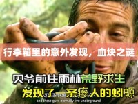 行李箱里的意外發(fā)現(xiàn)，血塊之謎