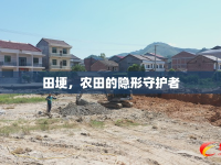 田埂，農(nóng)田的隱形守護(hù)者