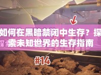 如何在黑暗禁閉中生存？探索未知世界的生存指南