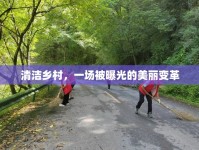 清潔鄉(xiāng)村，一場被曝光的美麗變革