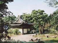 歌之王子殿下手游憑什么讓百萬玩家沉迷？