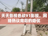 天天影視色欲91影視，網(wǎng)絡熱議背后的隱憂