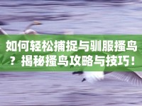 如何輕松捕捉與馴服搔鳥？揭秘搔鳥攻略與技巧！