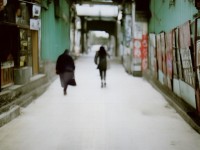 理倫動漫為何能吸引如此多元的觀眾群體？
