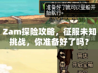 Zam探險(xiǎn)攻略，征服未知挑戰(zhàn)，你準(zhǔn)備好了嗎？