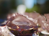 尋仙手游的蛤蟆現(xiàn)象，當(dāng)樂趣變成騷擾，誰來拯救玩家的游戲體驗(yàn)？，（說明，既保留原內(nèi)容的核心矛盾，又通過疑問引發(fā)好奇，激發(fā)用戶點(diǎn)擊欲望。）