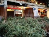 尋仙手游組隊(duì)多少人最合適？這樣配置效率翻倍！