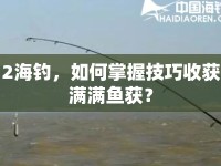 2海釣，如何掌握技巧收獲滿滿魚獲？