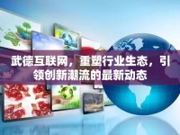 武德互聯(lián)網(wǎng)，重塑行業(yè)生態(tài)，引領(lǐng)創(chuàng)新潮流的最新動(dòng)態(tài)