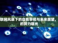 互聯(lián)網(wǎng)風(fēng)暴下的自我審視與未來(lái)展望，我的勢(shì)力曝光