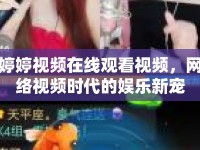 婷婷視頻在線觀看視頻，網(wǎng)絡(luò)視頻時代的娛樂新寵