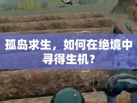 孤島求生，如何在絕境中尋得生機？