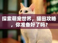 探索萌寵世界，貓?zhí)锕ヂ?，你?zhǔn)備好了嗎？