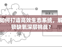如何打造高效生態(tài)系統(tǒng)，解鎖缺氧深層挑戰(zhàn)？