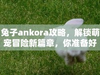 兔子ankora攻略，解鎖萌寵冒險新篇章，你準備好了嗎？