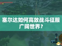 塞爾達(dá)如何高效戰(zhàn)斗征服廣闊世界？