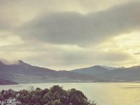 為什么你的生存者總比別人弱？極限加點(diǎn)攻略全解析！