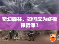 奇幻森林，如何成為終極探險(xiǎn)家？