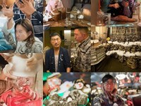 如何在劍俠情緣手游中最大化元寶收益？