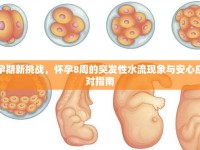 孕期新挑戰(zhàn)，懷孕8周的突發(fā)性水流現(xiàn)象與安心應(yīng)對(duì)指南