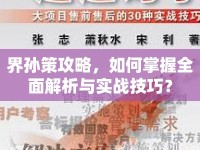 界孫策攻略，如何掌握全面解析與實(shí)戰(zhàn)技巧？