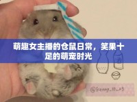 萌趣女主播的倉鼠日常，笑果十足的萌寵時光