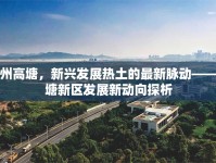 惠州高塘，新興發(fā)展熱土的最新脈動——高塘新區(qū)發(fā)展新動向探析
